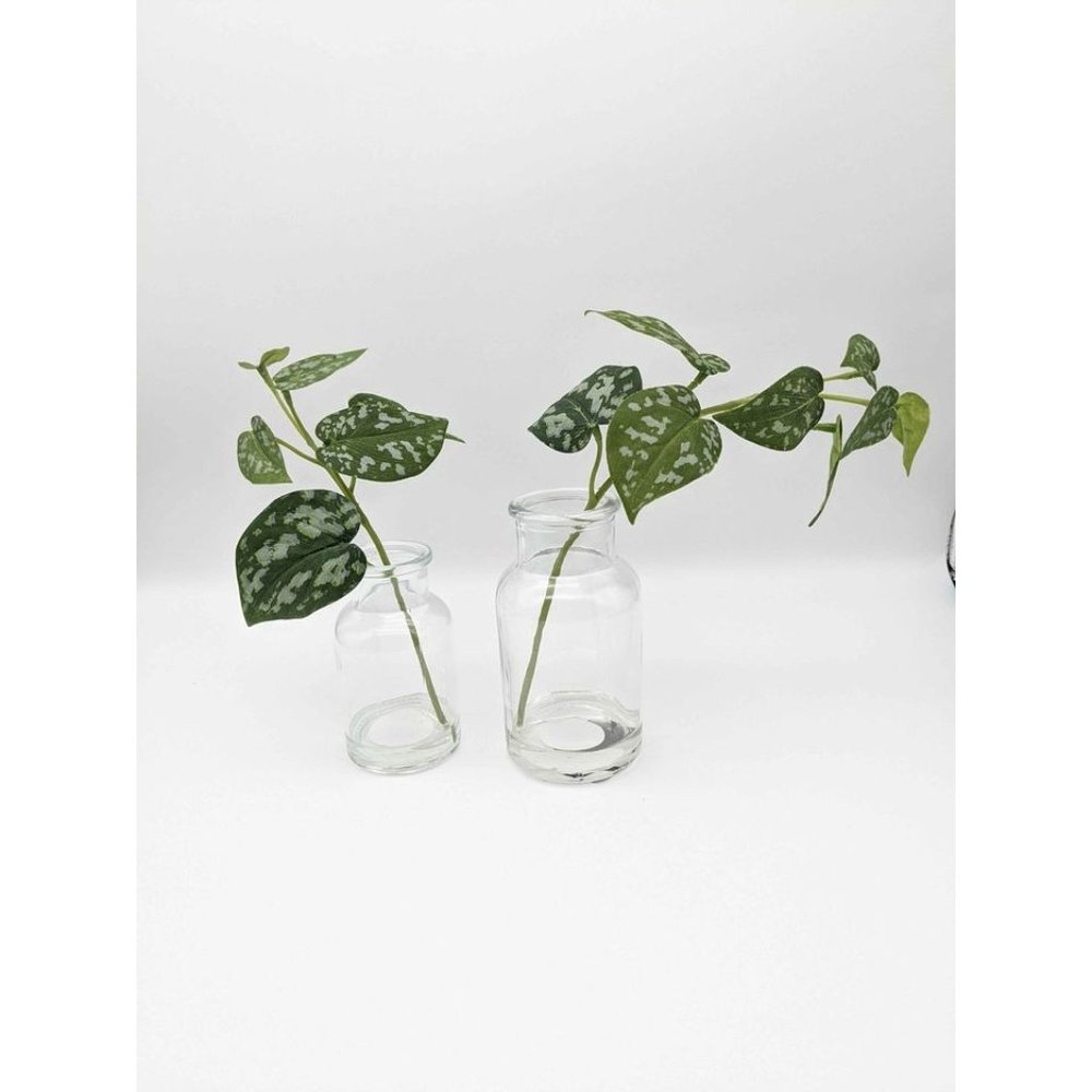 Set of 2 silver philodendron arrangements